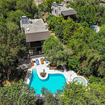 Villa With Pool Surrounded By Nature In Fethiye *