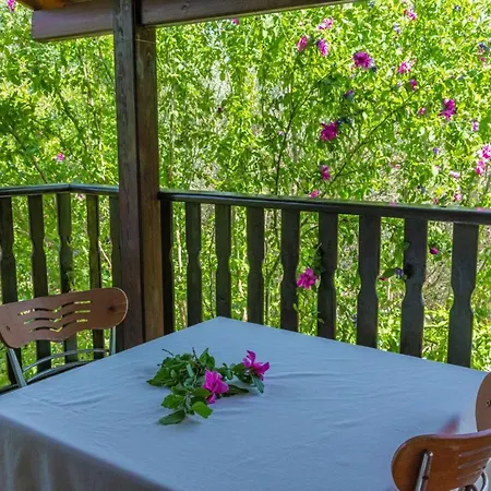 别墅 Villa With Pool Surrounded By Nature In Fethiye